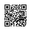 3TD-28336-00-00 Plate
