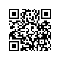3V6-11631-00-96 Поршень