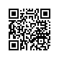 3VD-21621-00-00 Flap