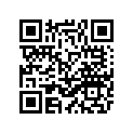 3VP-21511-00-P1 ﾌｴﾝﾀﾞ,ﾌﾛﾝﾄ