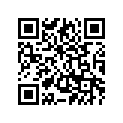 3XC-2416A-00-00 ﾎｰｽ