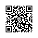 3XV-1133E-20-00 ﾜｲﾔ,ﾌﾟｰﾘｰ 1 (ｸﾞﾚｰ)