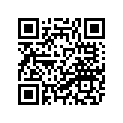 3XV-11631-10-97 ﾋﾟｽﾄﾝ
