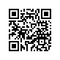 3XV-16391-00-00 Shim, 1 (0.4)