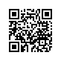 3XV-25186-00-00 ｶﾗｰ,ﾎｲｰﾙ