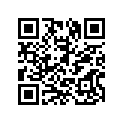 3Y1-11636-00-00 