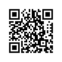 3Y1-24110-00-04 