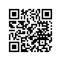 3Y1-27311-00-33 