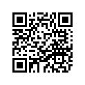 3YL-11111-00-00 