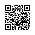 3YL-11351-00-00 