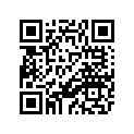 3YL-16151-00-00 