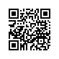 3YL-17411-00-00 