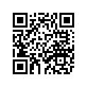 3YX-21272-00-00 Stay, Carrier