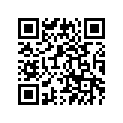 3YX-21651-00-9G 