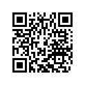 40011166100 KEY BLANK LC4/DUKE/LC8