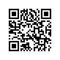 4004306 LINK,MASTER,530DRZCHAI