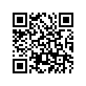401-17221-00-00 