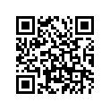 402-24250-10-00 GRAPHIC SET