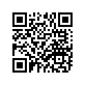 403-17411-01-00 