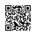 40341-752-000 LEVER