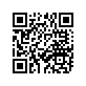 404-25919-00-00 