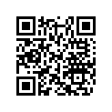 404110600 JET NEEDLE