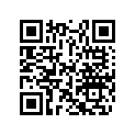 40411700 Packing