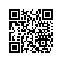 404161836 Plaque         *plate