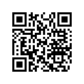 404161885 Rondelle       *washer
