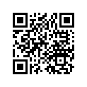 40510-383-670ZA Case *nh1* (black)