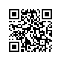 40527-950-000 Key, Special  (not Available)