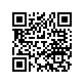 40530-051-690 CHAIN,DRIVE