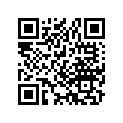 40530-110-771 Chain,drive