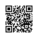 40530-116-811 Chain,drive