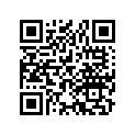 40530-165-942 Цепь приводная