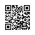 40530-169-005 CHAIN,DRIVE.