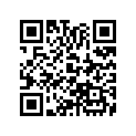 40530-169-812 CHAIN,DRIVE