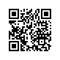 40530-304-000 Chain