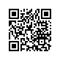 40530-376-811 Chain