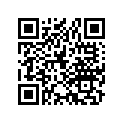 40530-393-006 Chain
