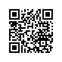 40530-426-641 Chain