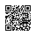40530-437-603 CHAIN, DRIVE