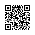 40530092005 CHAIN,DRIVE