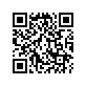40530110671 CHAIN,DRIVE
