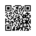 40530355013 CHAIN,DRIVE
