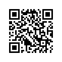 40531-268-000 Master Link