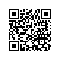 40531-300-750 Joint,drive.chain