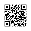 40531-418-711 Master Link