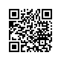 40531-441-971 Master Link