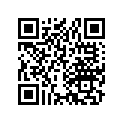 40545-958-000 Cap, Chain